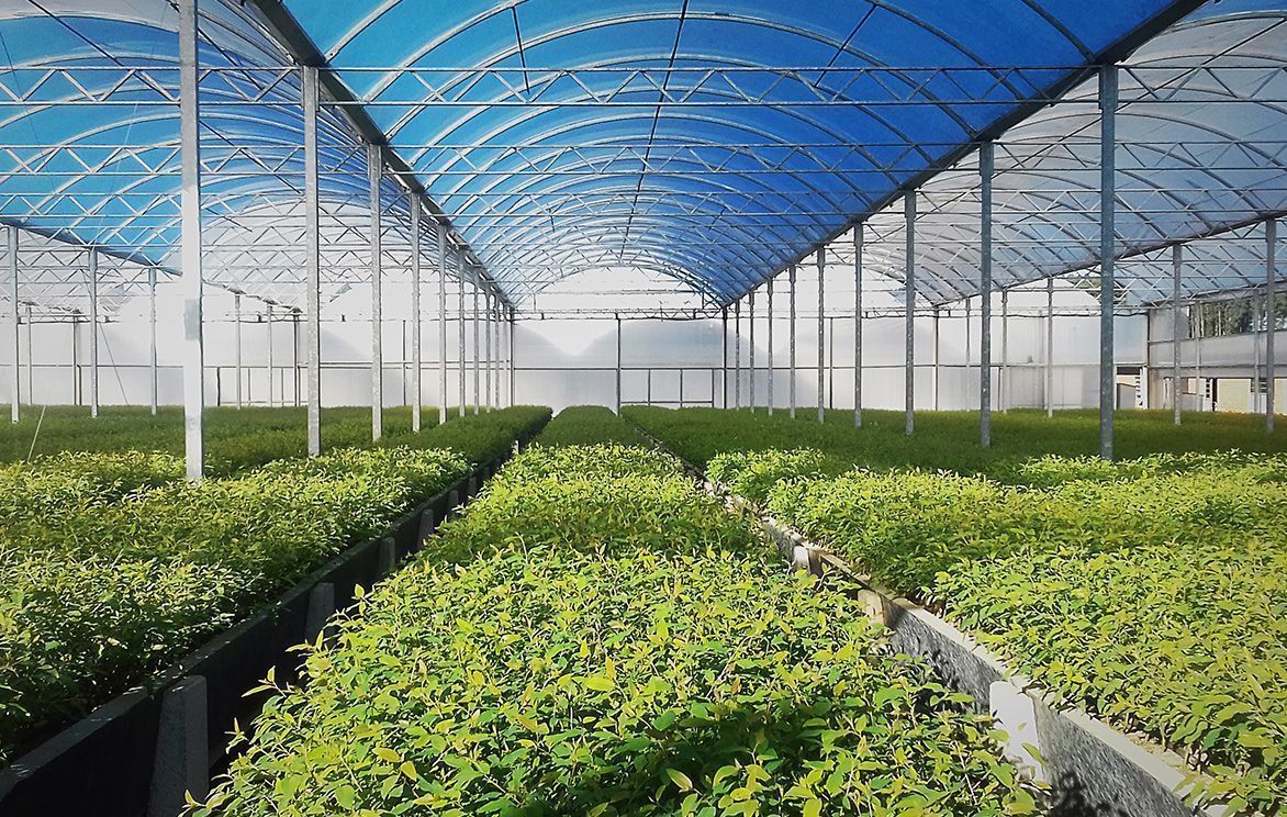 SICAK HAVA SERA ISITMA SİSTEMLERİ